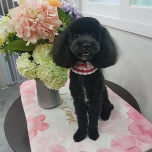 Meet your Posher, Jiyoung